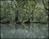  jungle de Ninh Binh - Vietnam