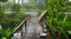 En regardant tomber la pluie, sur la passerelle d'une maison en bois - Kratie - Cambodge