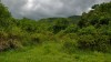 site Cham de My Son vietnam site Cham de My Son vietnam
