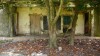 Ancienne ecole abandonnee. Quan Lan. vietnam Ancienne ecole abandonnee. Quan Lan. vietnam